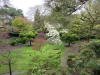 Japanese Gardens, Kildare