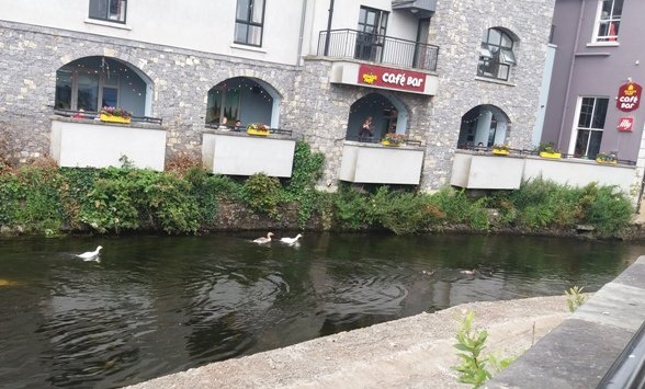 Rowen Tree Cafe, Ennis, Ireland